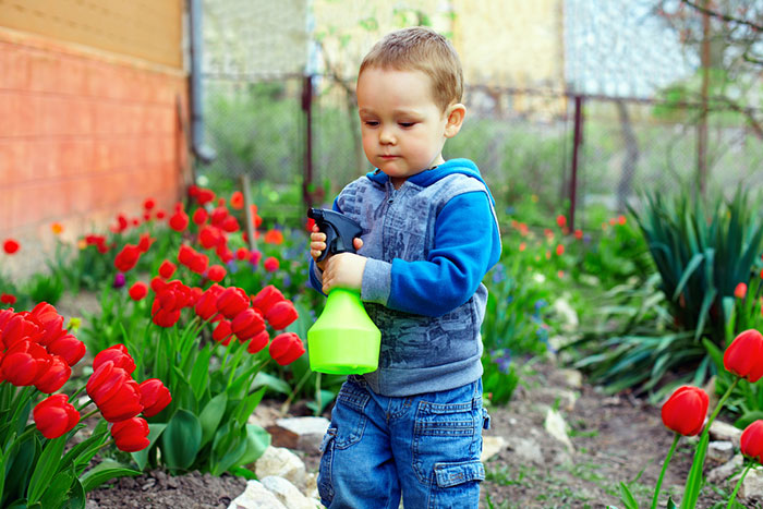 Jugando jardineros: botánica práctica para niños () Jugando jardineros: botánica práctica para niños.