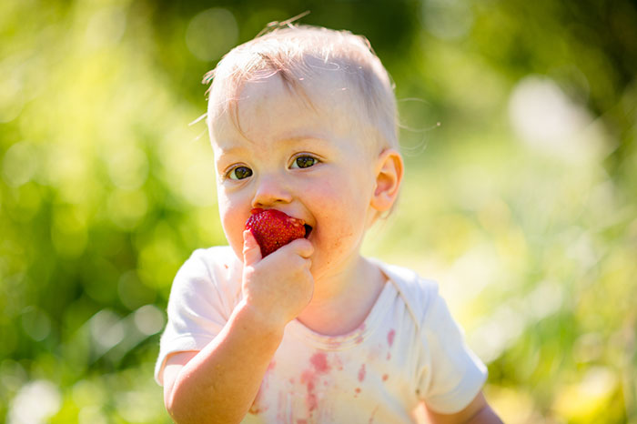 Acquaintance of the kid with solid food: catch up to the first tooth () Introducing baby with solid food: catch up to the first tooth