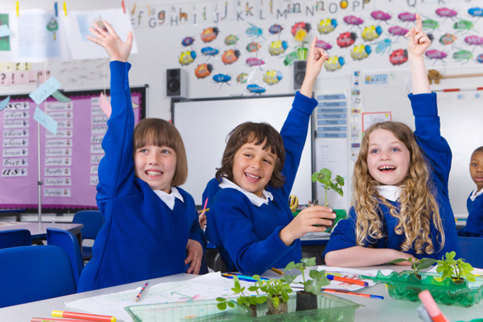 Worldwide experience: kindergarten and primary school in England () World experience: kindergarten and primary school in England