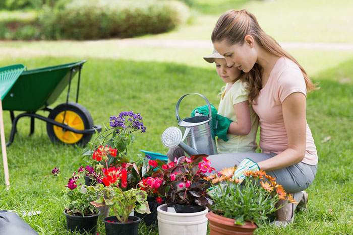 Jugando jardineros: botánica práctica para niños () Jugando jardineros: botánica práctica para niños.