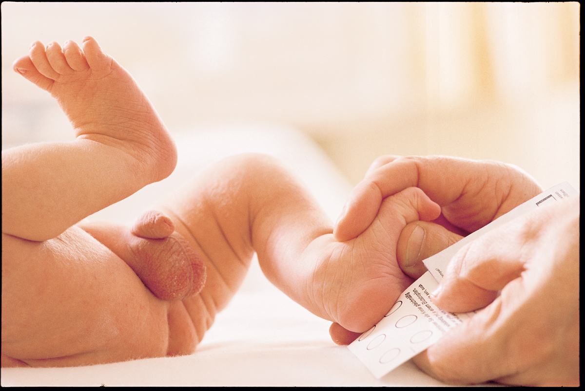 Cribado neonatal () Cribado neonatal